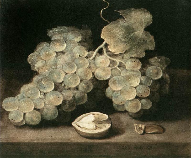 ES, Jacob van Grape with Walnut d